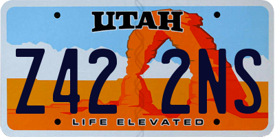 UT license plate Z422NS
