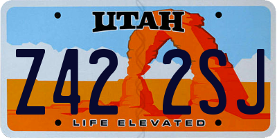 UT license plate Z422SJ