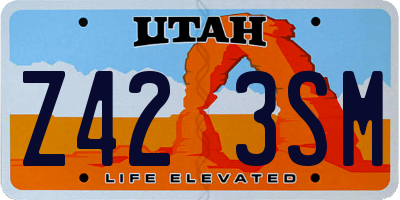 UT license plate Z423SM