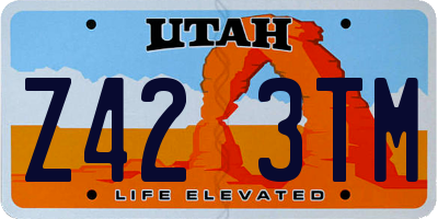 UT license plate Z423TM