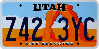 UT license plate Z423YC