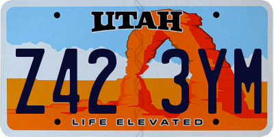 UT license plate Z423YM