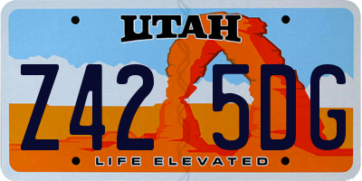 UT license plate Z425DG