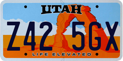 UT license plate Z425GX