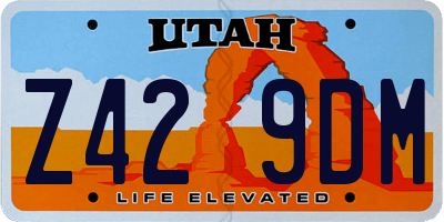 UT license plate Z429DM