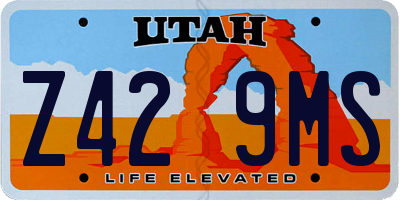 UT license plate Z429MS