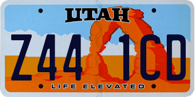 UT license plate Z441CD