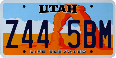 UT license plate Z445BM