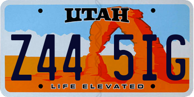 UT license plate Z445IG