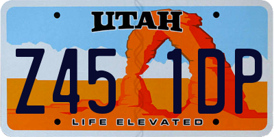 UT license plate Z451DP