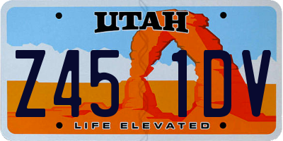 UT license plate Z451DV