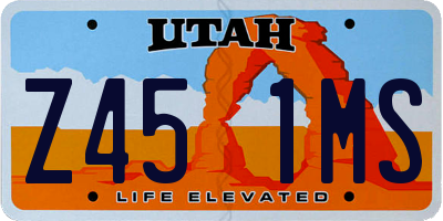 UT license plate Z451MS