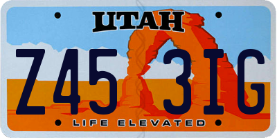 UT license plate Z453IG
