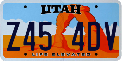 UT license plate Z454DV