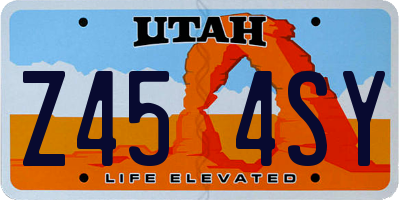UT license plate Z454SY