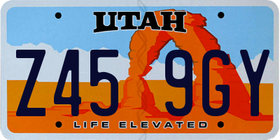 UT license plate Z459GY