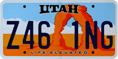 UT license plate Z461NG