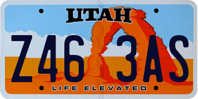 UT license plate Z463AS