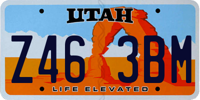 UT license plate Z463BM