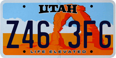 UT license plate Z463FG