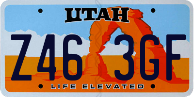 UT license plate Z463GF