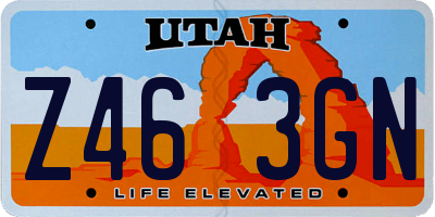 UT license plate Z463GN