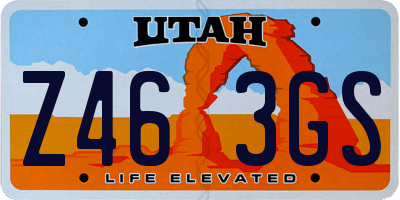 UT license plate Z463GS