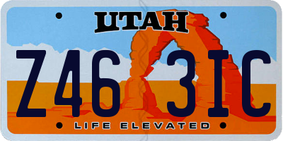 UT license plate Z463IC