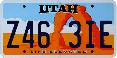 UT license plate Z463IE