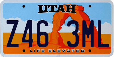 UT license plate Z463ML