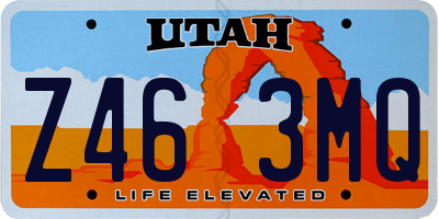 UT license plate Z463MQ