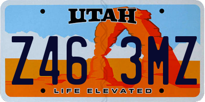 UT license plate Z463MZ