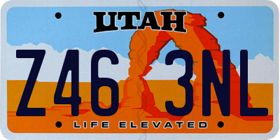 UT license plate Z463NL