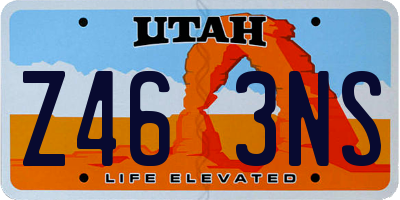 UT license plate Z463NS