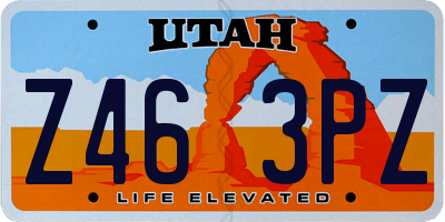 UT license plate Z463PZ