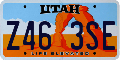 UT license plate Z463SE
