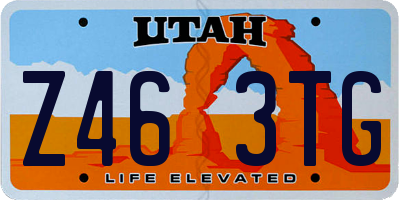 UT license plate Z463TG