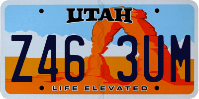 UT license plate Z463UM