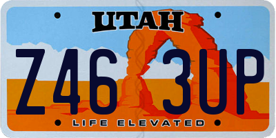 UT license plate Z463UP