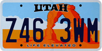 UT license plate Z463WM