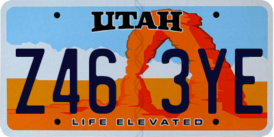 UT license plate Z463YE