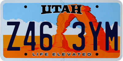 UT license plate Z463YM