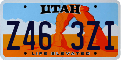 UT license plate Z463ZI