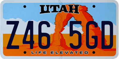 UT license plate Z465GD