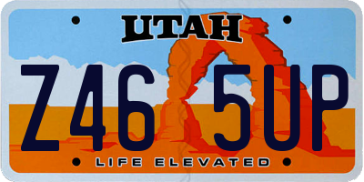 UT license plate Z465UP