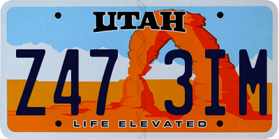 UT license plate Z473IM