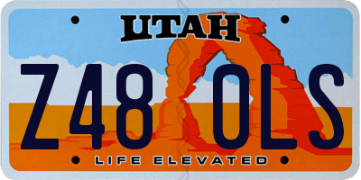 UT license plate Z480LS