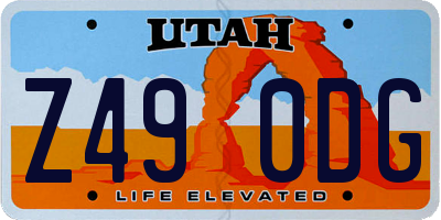 UT license plate Z490DG