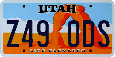 UT license plate Z490DS