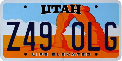 UT license plate Z490LG
